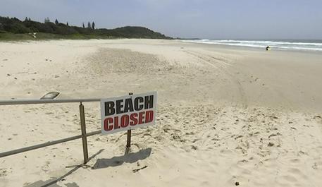 Zhytësi sulmohet dhe vritet nga një peshkaqen