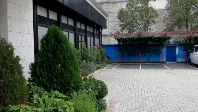 Bien flokët e parë të borës në Tiranë…