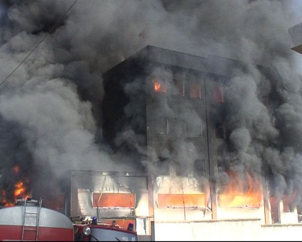 Digjet biznesi i babait të kryebashkiakut të Kavajës