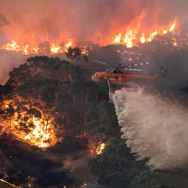 Frikë e madhe për Australinë, zyrtarët flasin hapur për rrezikun që po afrohet