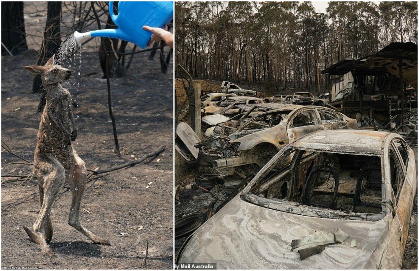 Australi, qyteza të shkrumbuara e gjallesa të djegura pas zjarreve
