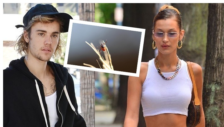 Çfarë është sëmundja “Lyme”, nga e cila janë prekur shumë të famshëm