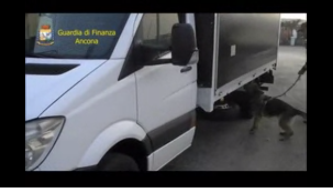 Si u zbulua droga me vlerë 0.5 mln euro e nisur nga Durrësi nga qeni antidrogë (VIDEO)