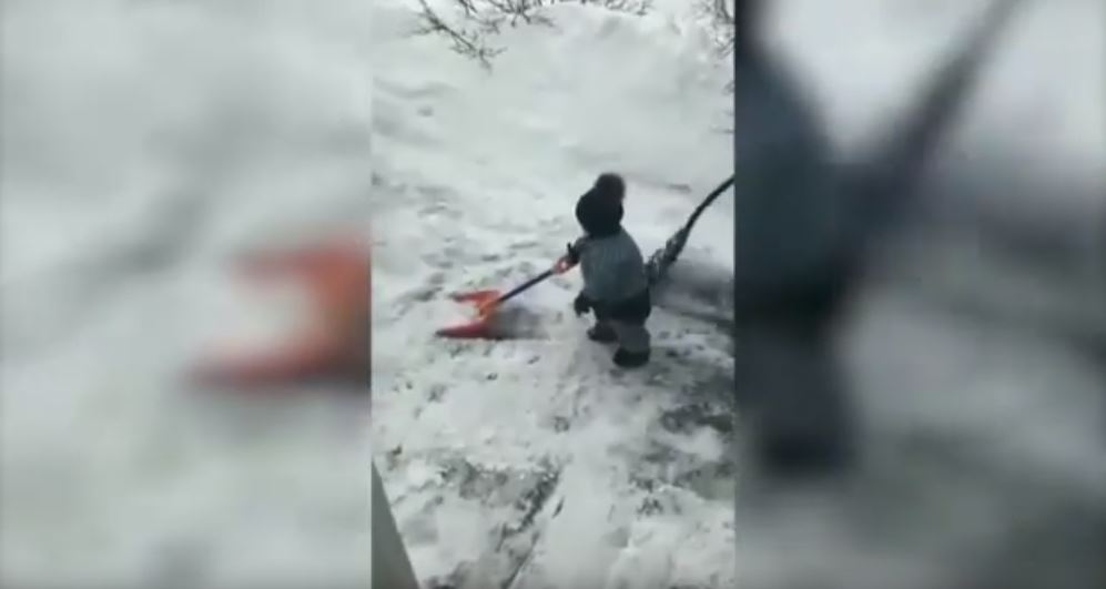 Videoja e vogëlushit Rori bëhet virale, do qeshni me lot!