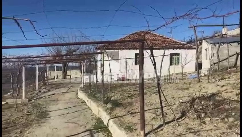 Krimi monstruoz në Mallakastër, familja e 16-vjeçarit braktis banesën