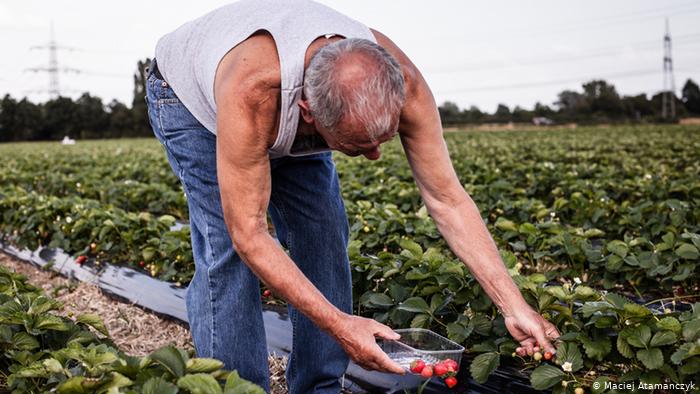 “Mirë mbetsh BE!” DW: Më 1 Mars Gjermania hap dyert për fuqinë punëtore