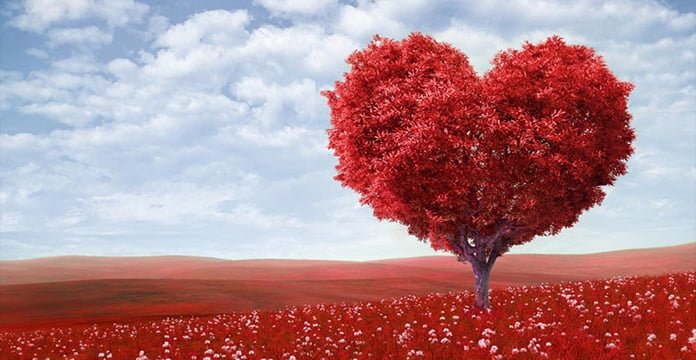 Horoskopi i dashurisë, si do t’iu gjejë Shën Valentini