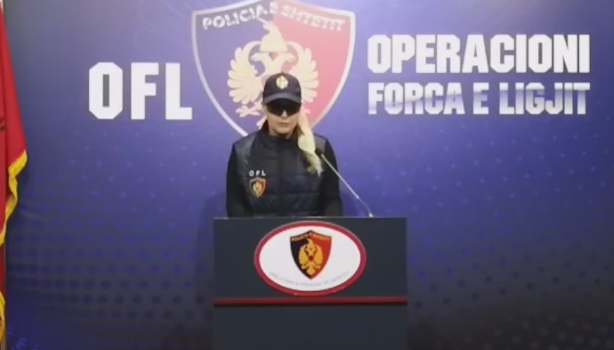 OFL kërkesë për deklarim pasurie Lulzim Berishës dhe Ardian Çapjas: Keni 48 orë kohë!