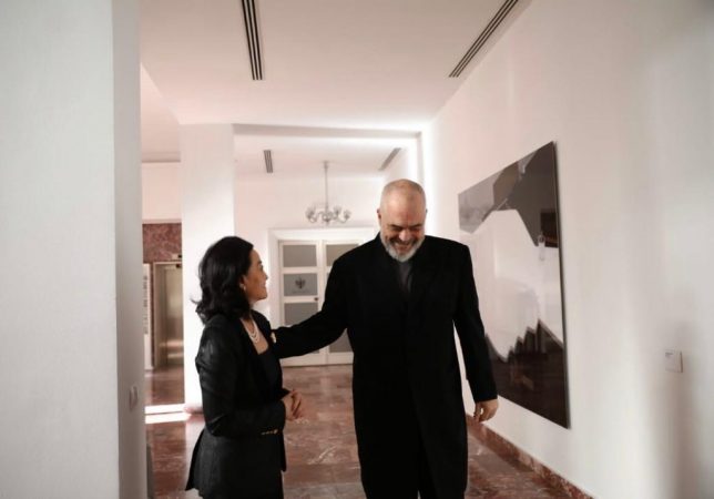 Ambasadorja amerikane në Kryeministri, takim me Ramën