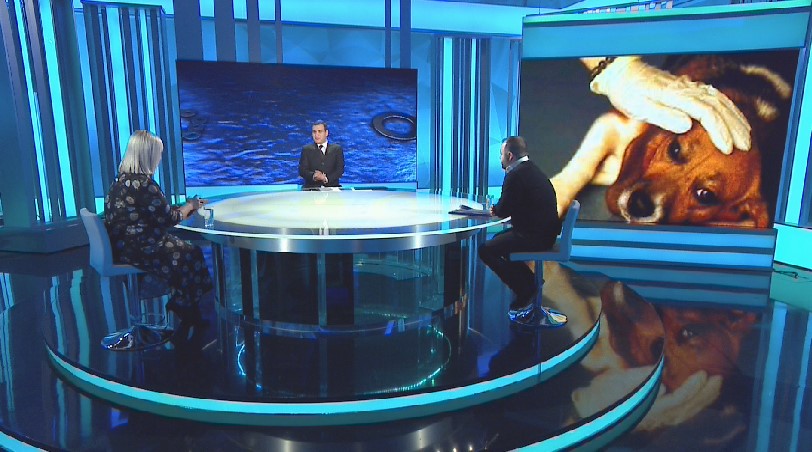 Aktivistët: Në spitalin e Kombinatit, qentë vriten duke iu injektuar acid në zemër