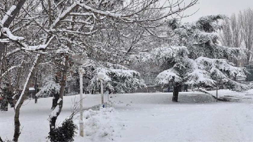 Rinisin reshjet e deborës në qarkun e Korçës dhe Dibrës
