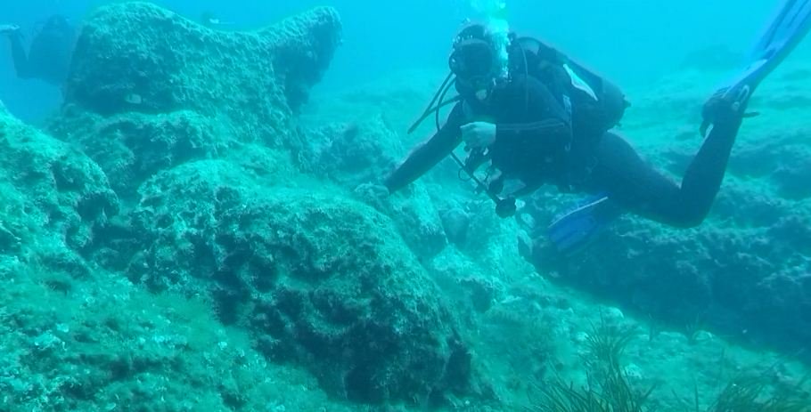 Karaburuni dhe Sazani në monitorim! Specialisti italian: Ujërat me standarde, biodiversiteti ka humbje