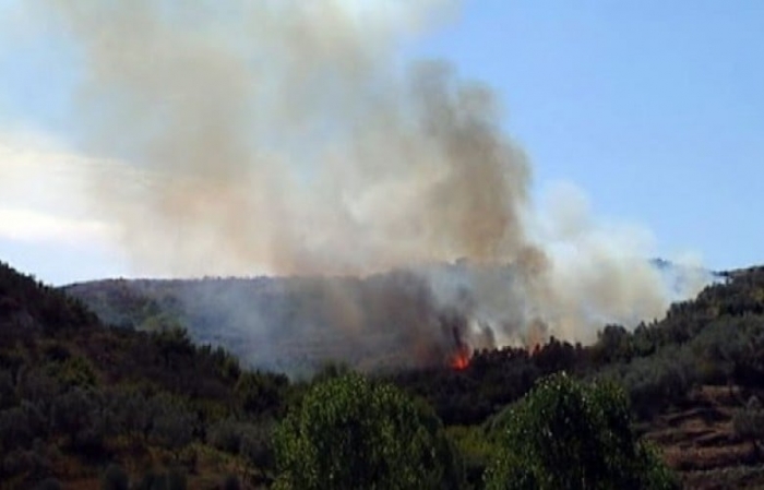 Digjen 10 hektarë tokë, zjarrfikësit s’mund të ndërhyjnë për shkak të terrenit