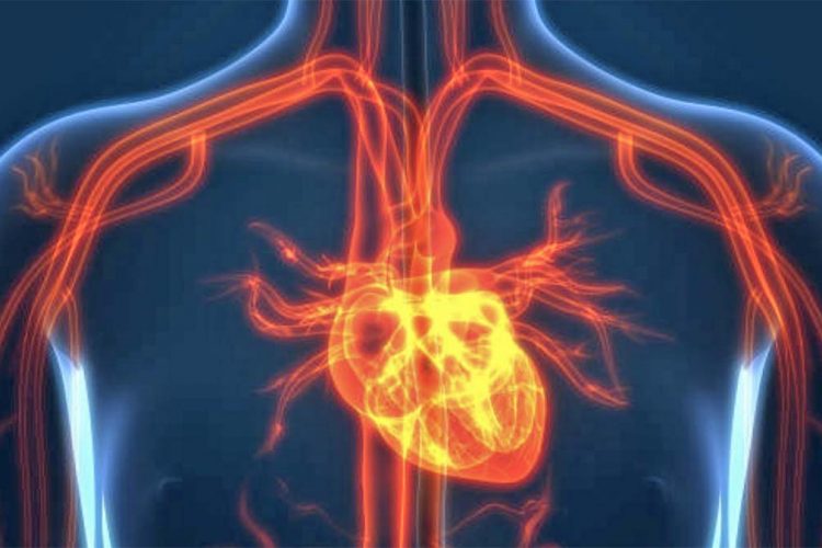 Rreziku i trashëgueshëm i sëmundjeve të zemrës