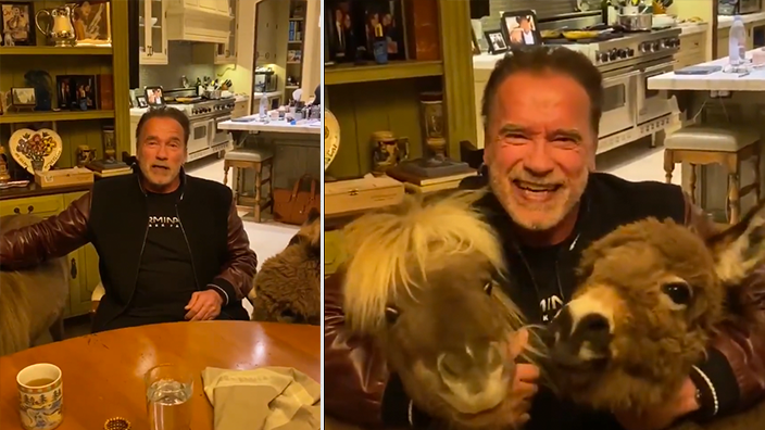 Arnold Schwarzenegger thirrje qytetarëve: Qëndroni në shtëpi, do ta kalojmë së bashku