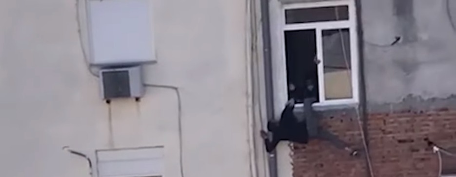 DETAJE/ E mbylli gruaja brenda që mos merrte gjobë, tenton të hidhet nga dritarja, si e shpëtoi policia