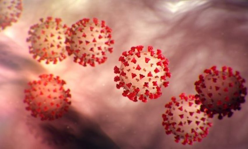 Këto dhjetë gjëra që i prekim çdo ditë janë plot me viruse ose baktere