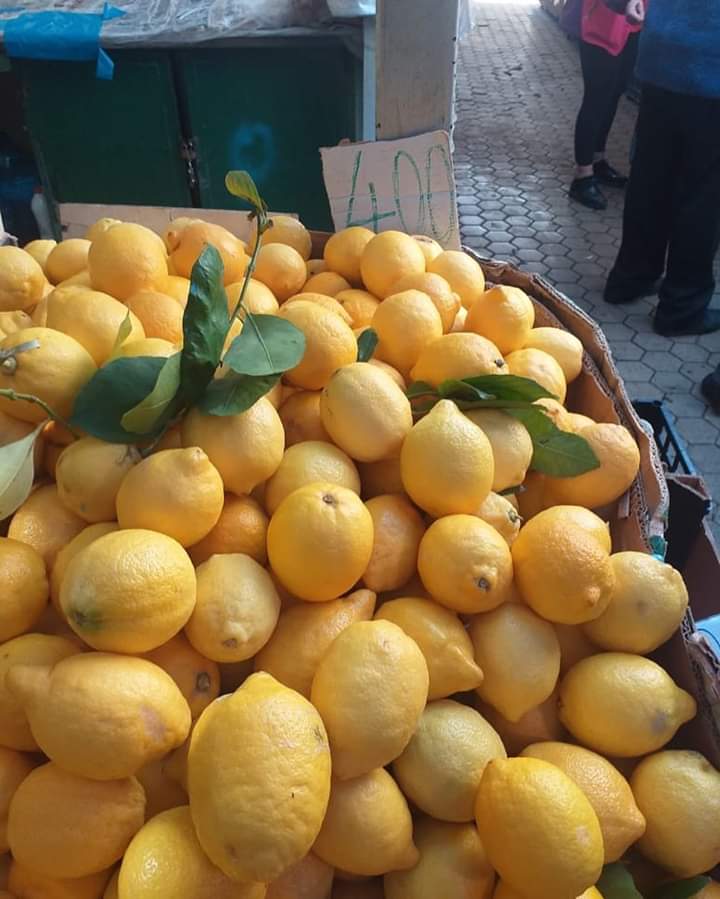 Çmimi i limonave arrin majat në Durrës