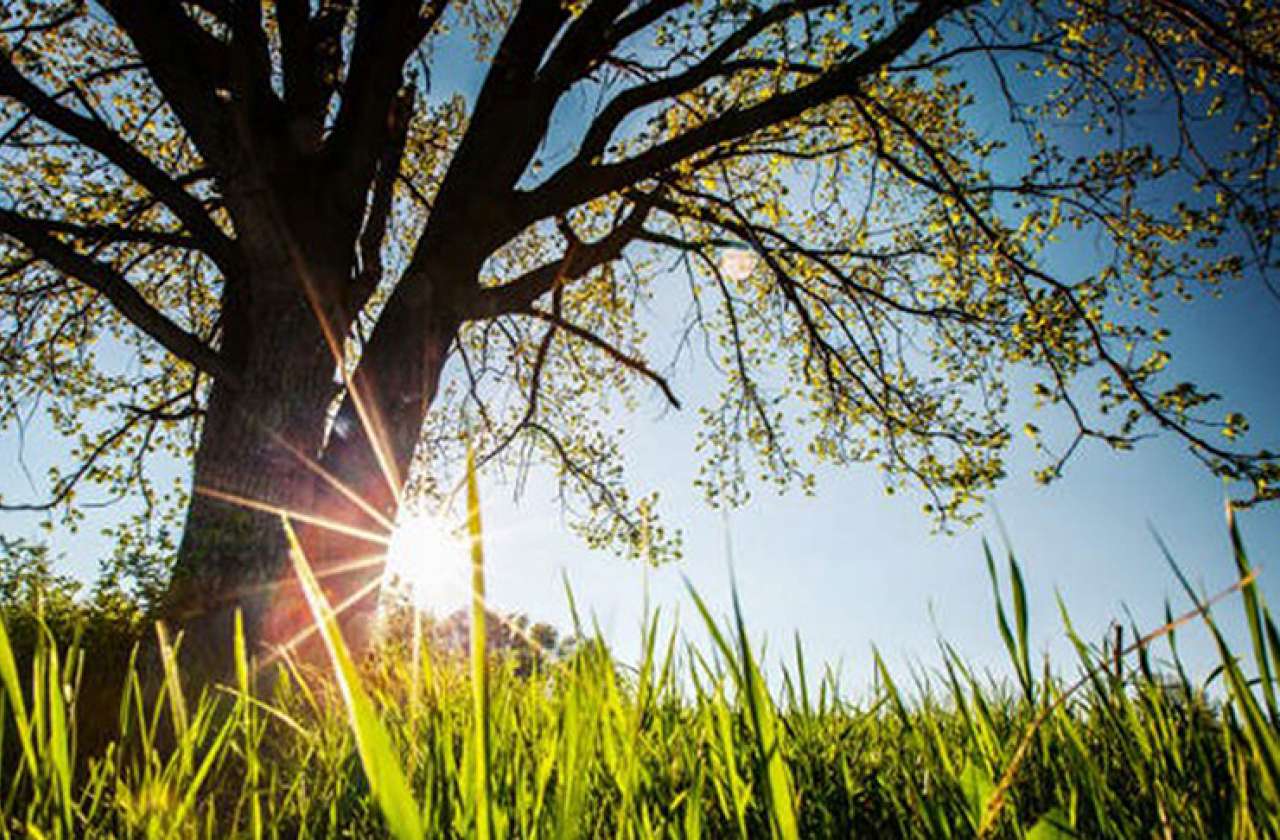 Temperatura maksimale në Durrës, parashkimi i motit këtë të diel