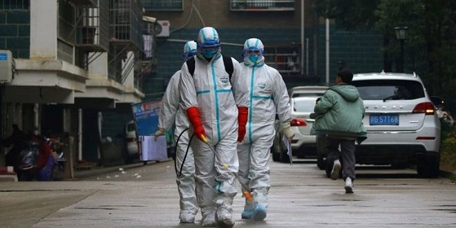 Në 24 orë, Gjermania regjistron 33 viktima, rreth 44 mijë të prekur nga Covid-19