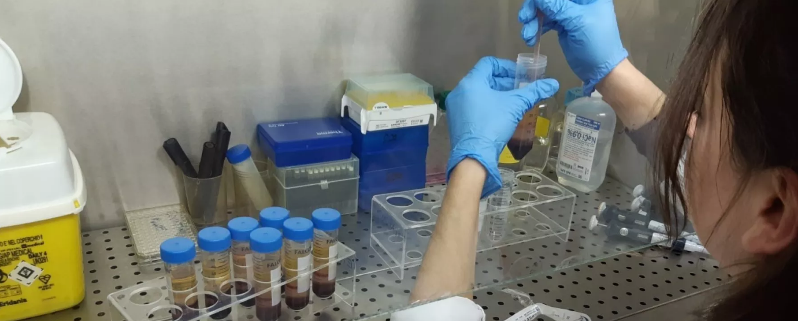 Lajm pozitiv/ Mjekët italianë mund ta kenë gjetur kurën kundër koronavirus