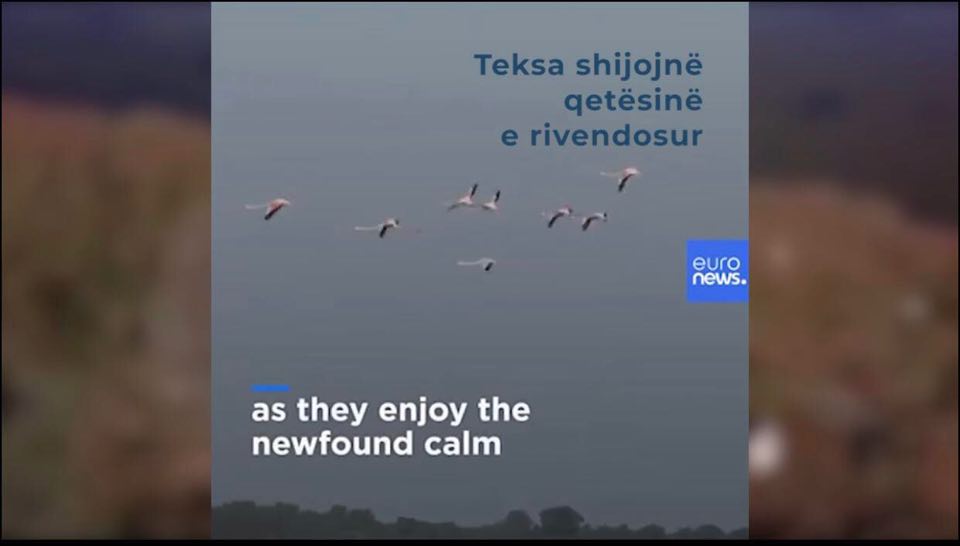 Rama e nis mëngjesin me videon e “Euronews”: Çfarë mrekullish ka Shqipëria