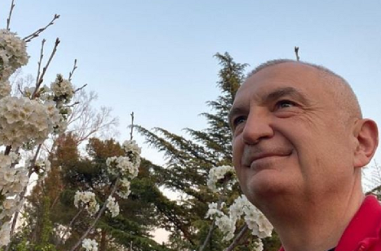 “Koronavirusi s’e ndal dot pranverën”! Meta në Ditën e Tokës: Për një të ardhme pa maska dhe ilaçe duhet…