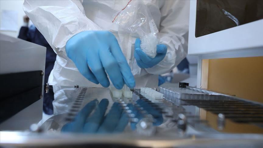 Turqi, shkon në 501 numri i vdekjeve nga COVID-19