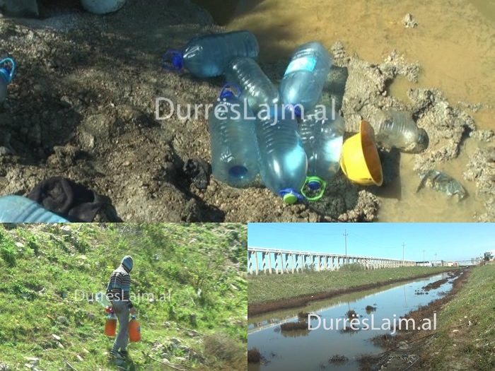 Nafta derdhej sheshit në Porto Romano, për inspektorët e Mjedisit në Durrës nuk ka ndotje!