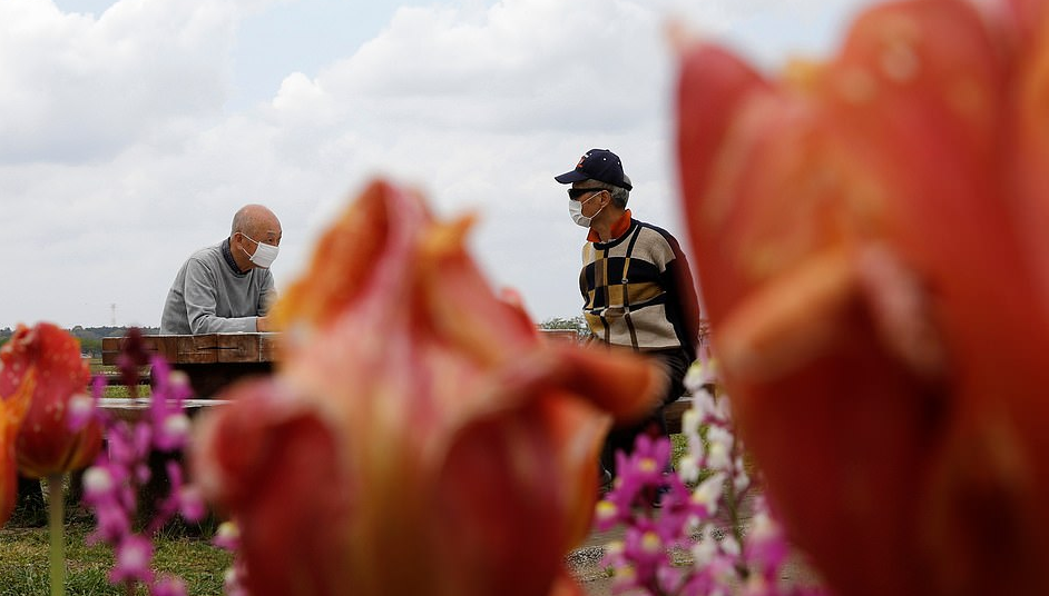 Japonia pret 100,000 tulipanë si masë parandaluese për mospërhapjen e koronavirusit (FOTO)