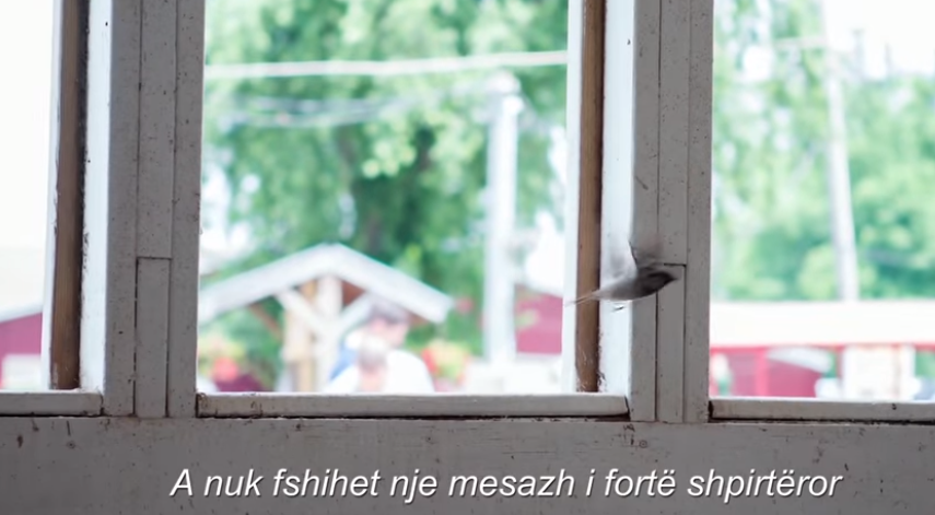 “Pleqtë paskan pasur të drejtë”! Mesazhi me 6 pyetje në videon e Ramës, çfarë na kujton kjo sëkëlldi?