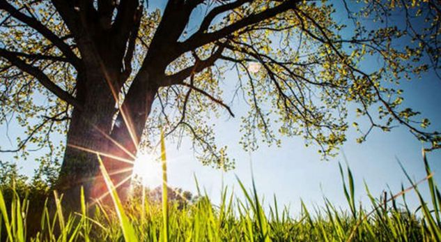 Parashikimi i motit, e hëna me temperatura të larta