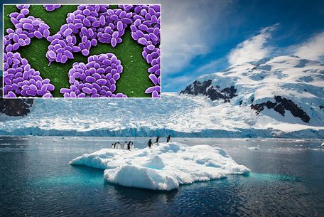 Sëmundjet e “varrosura” në akullnaja mund të zgjohen kërcënueshëm me rritjen e temperaturave