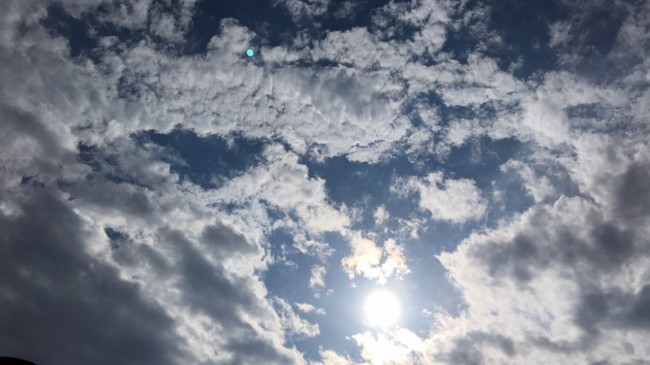 Parashikimi i motit, e diel 5 prill