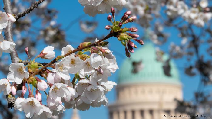 Koronavirusi dhe vapa, ç’rreziqe pritet të sjellë vera në Evropë? Ja ç’thonë ekspertët