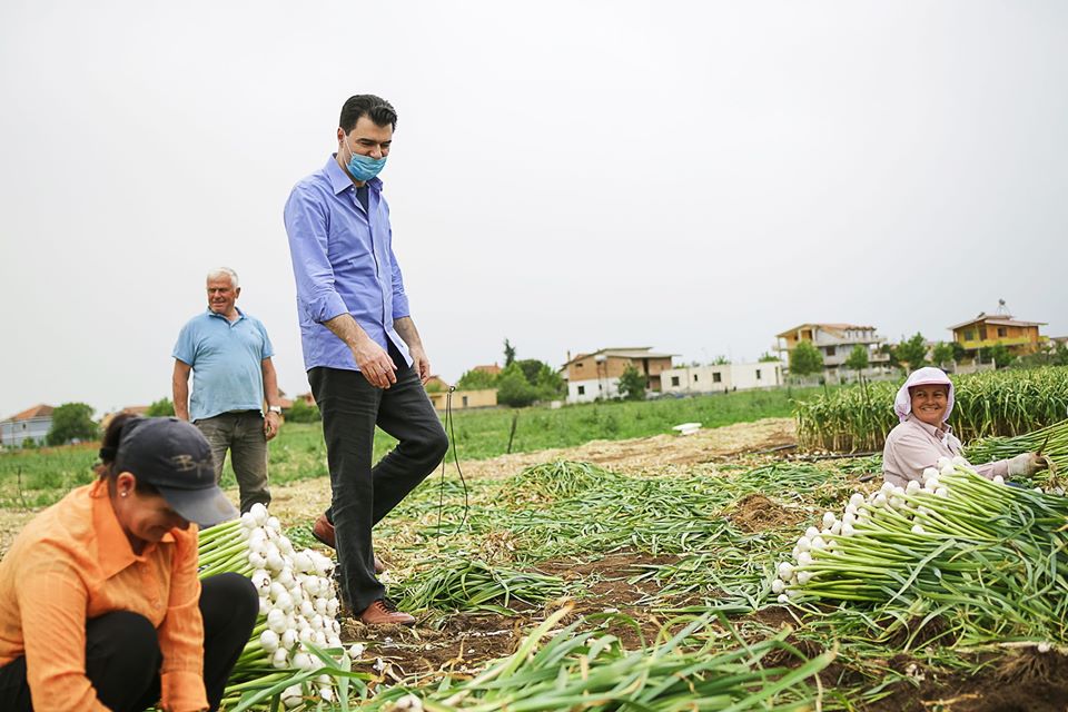 Basha takohet me fermerë: Ramavirusi po i rrënon