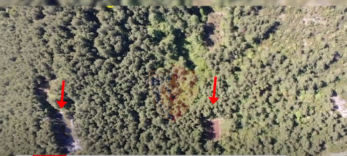 Aksion anti-drogë nga FNSH dhe Policia e Durrësit, dronët zbulojnë parcelat e trafikantëve