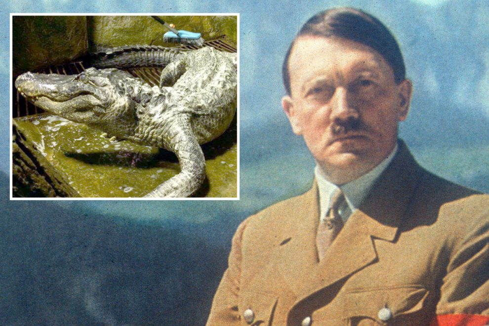Ngordh në kopshtin zoologjik të Moskës krokodili 84-vjeçar i Adolf Hitlerit