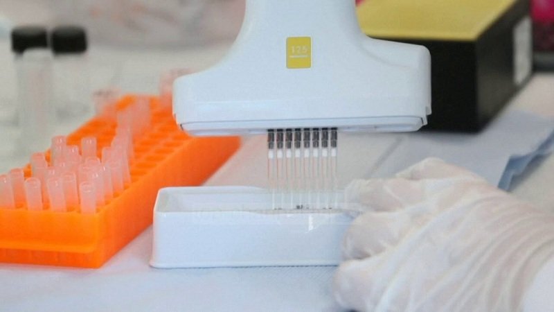 Vaksina kundër Covid-19, sukses në testimin tek majmunët