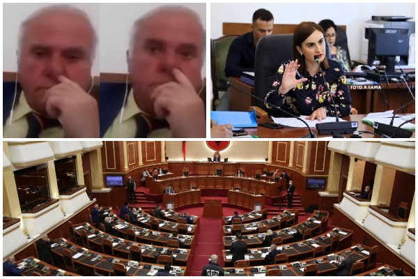 Fatjona Dhimitri shkarkohet nga Komisioni i Edukimit, posti i besohet deputetit që fuste gishtin në hundë