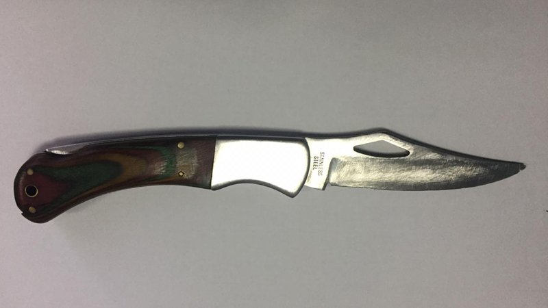 Kundërshtuan me dhunë punonjësit e policisë, arrestohet në flagrancë pronari i një lokali dhe 2 të tjerë