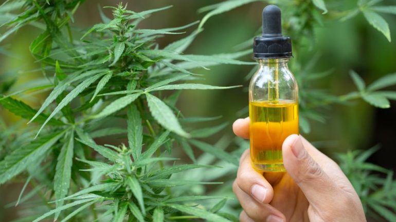 Kanabis për qëllime mjekësore, Lleshaj komenton: Nuk mund të shprehem për një projekt të paartikuluar