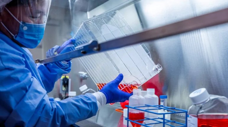 Kina i përgjigjet Pompeos: Teoria se Covid-19 doli nga një laborator në Wuhan është gënjeshtër