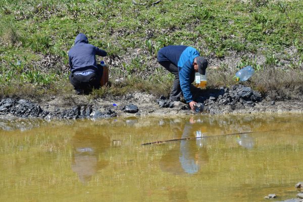 Prokuroria e Durrësit hap hetime për derdhjen e naftës në Porto Romano