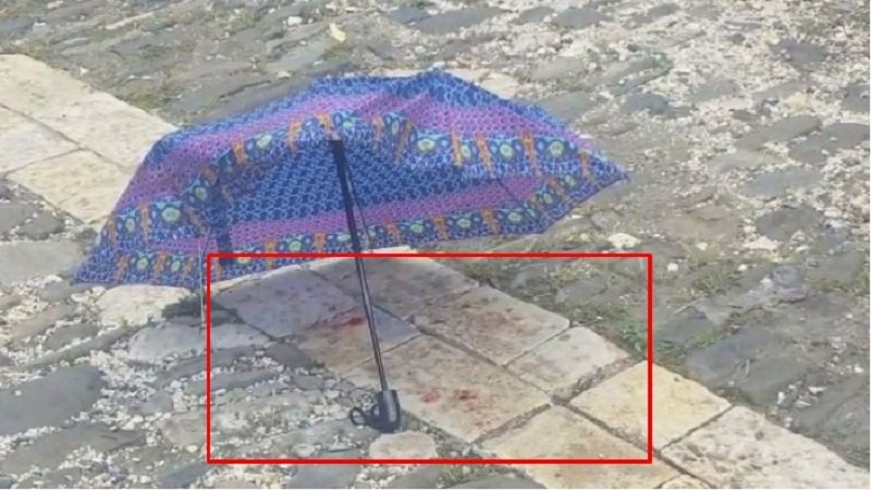 Sherr masiv mes dy familjeve, plagosen 5 persona