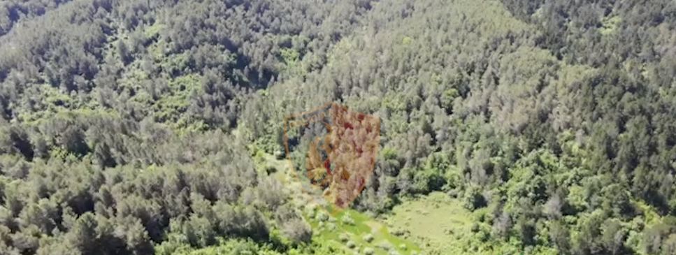 Japin dorëheqjen e parevokueshme 4 nga kryepleqtë e Ishmit, i bashkon e njëjta arsye