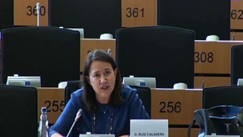 PE diskutim për Shqipërinë, Calavera: Plotësimi i kushteve i rëndësishëm