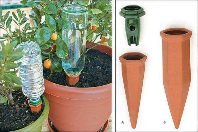 Zgjidhja ideale për të penguar tharjen e luleve nga uji nëse shkoni me pushime