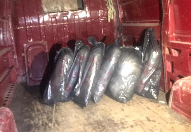 Kapet me 33 kg kanabis në makinë, arrestohet 47-vjeçari (EMRI)