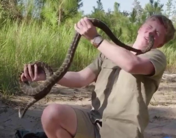 Ky britanik filmon momentin kur e kafshon gjarpri… (FOTO)